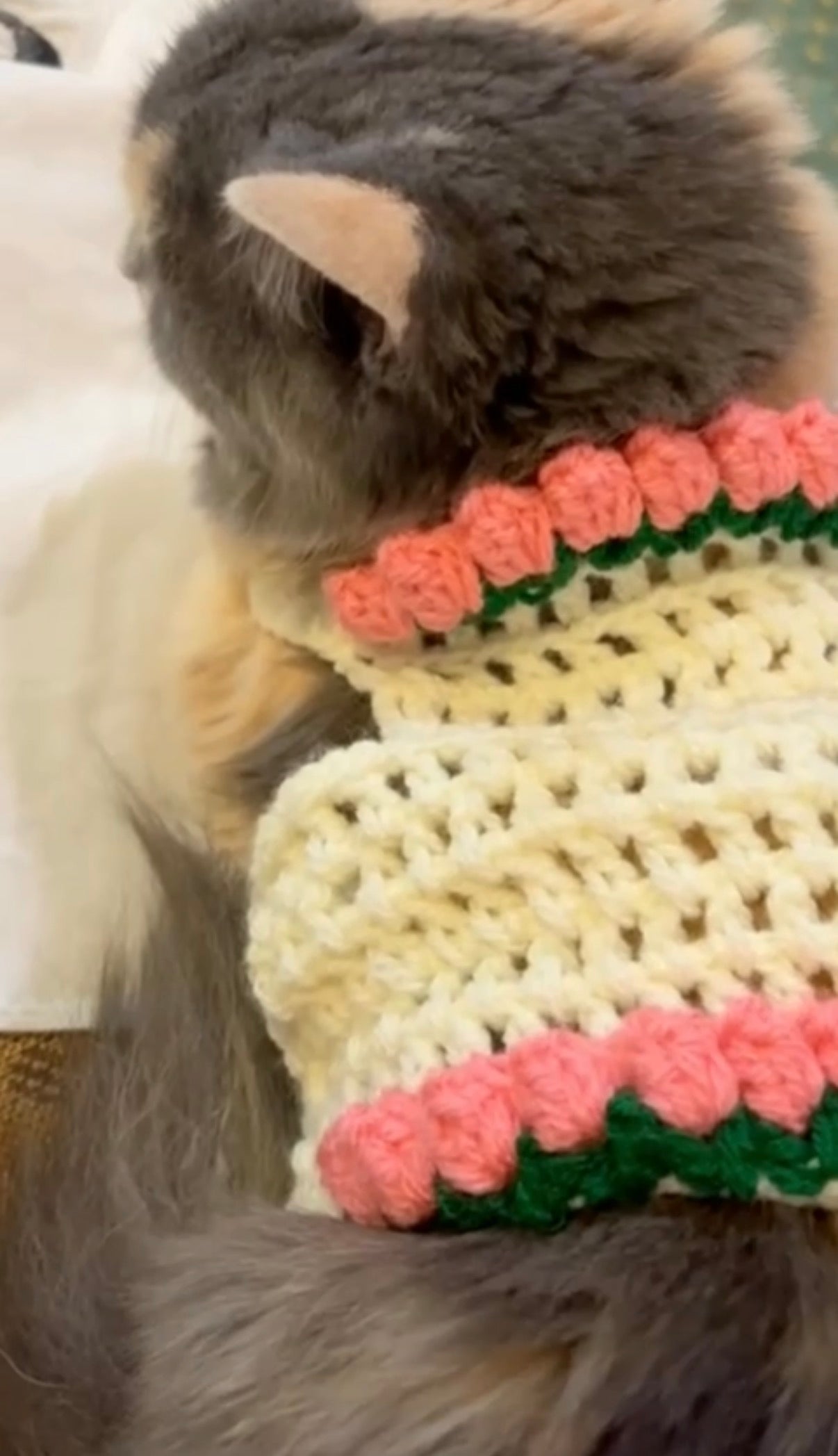 Crochet Cat sweater(Off white & flowers)