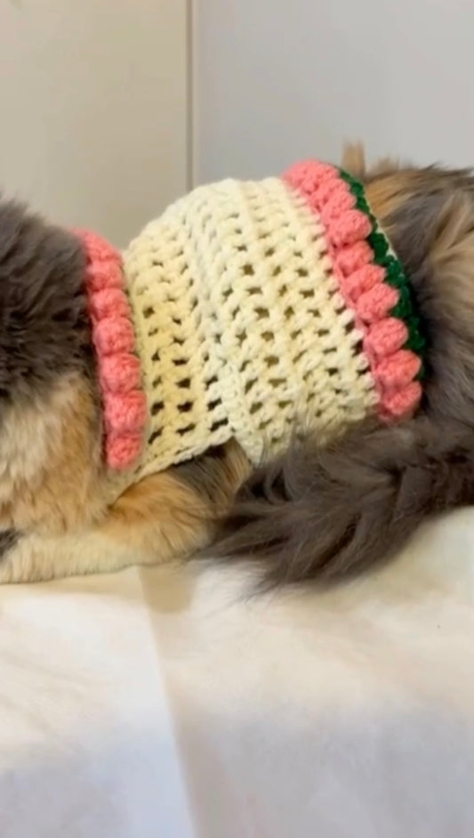 Crochet Cat sweater(Off white & flowers)