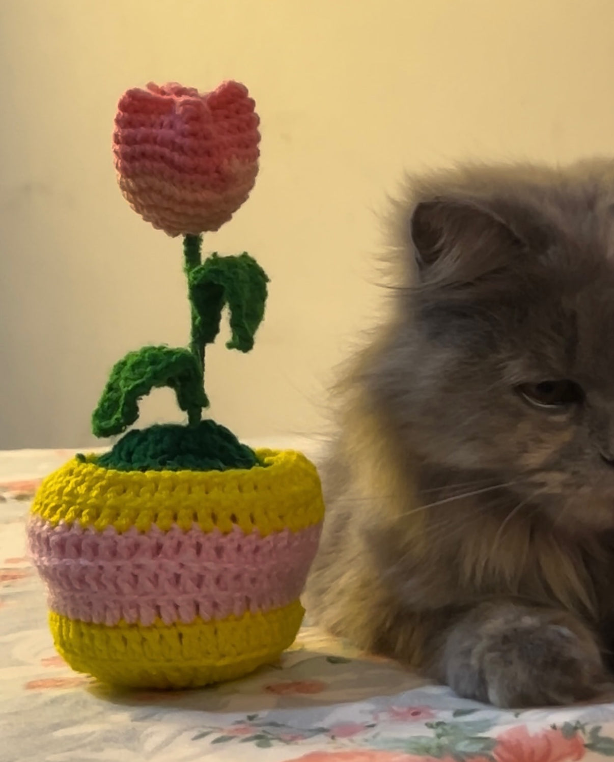 Cozy tulip pot