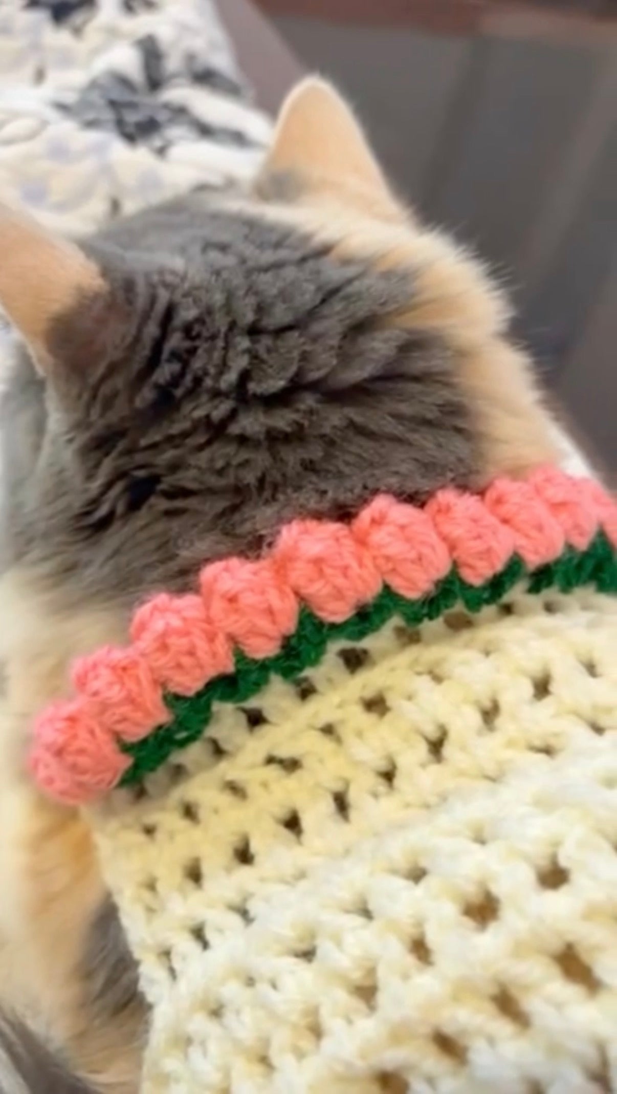 Crochet Cat sweater(Off white & flowers)