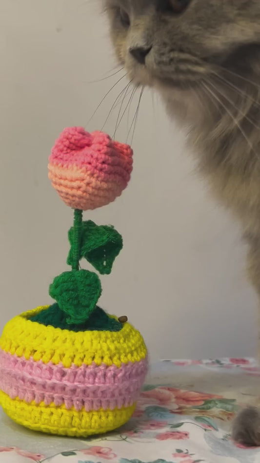 Cozy tulip pot